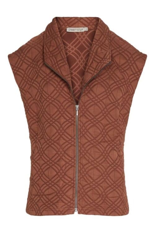 Dreamstar gilet bruin structuu