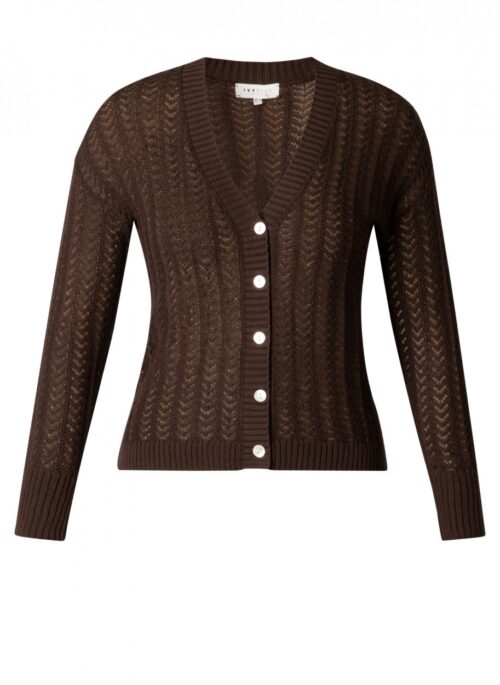 Ivy Beau vest gehaakt