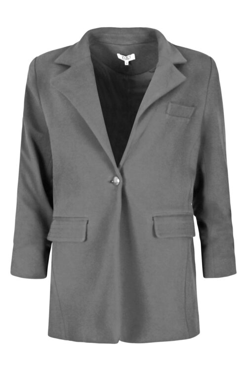 Zizo blazer grey