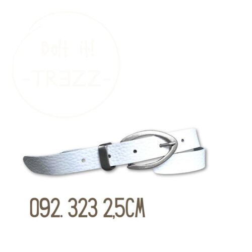 Trezz riem 2,5 cm gesp zilver